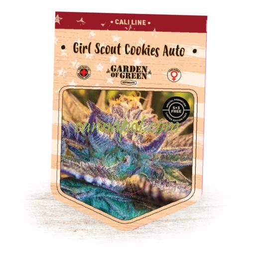 Girl Scout Cookies Auto fem - zum Schließen ins Bild klicken