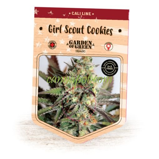 Girl Scout Cookies fem - zum Schließen ins Bild klicken