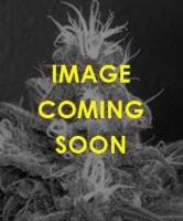 (Bild für) Grape Skunk