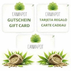 Ein allgemeines Bild