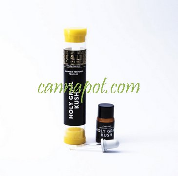 Holy Grail Kush 1ml - CaliTerpene - zum Schließen ins Bild klicken