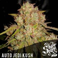 Auto Jedi Kush