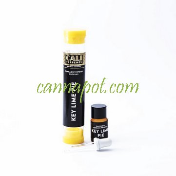 Key Lime 1ml - CaliTerpene - zum Schließen ins Bild klicken