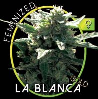 La Blanca Gold fem