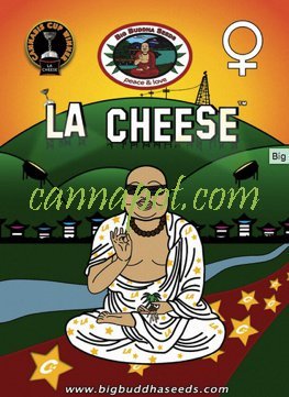 LA Cheese fem - zum Schließen ins Bild klicken