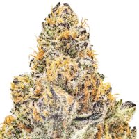 (Bild für) LA Gelato x 06 OG