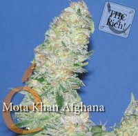 Afghana Mota Khan female