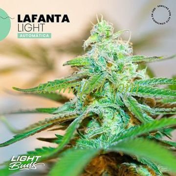 Lafanta Light Auto CBD - zum Schließen ins Bild klicken