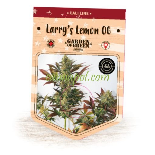 Larry's Lemon OG fem - zum Schließen ins Bild klicken