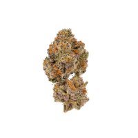 (image for) Lemon Cherry Mochi Auto fem