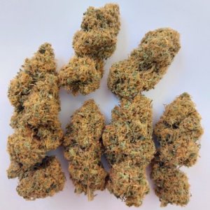 (Bild für) Magic Carrot