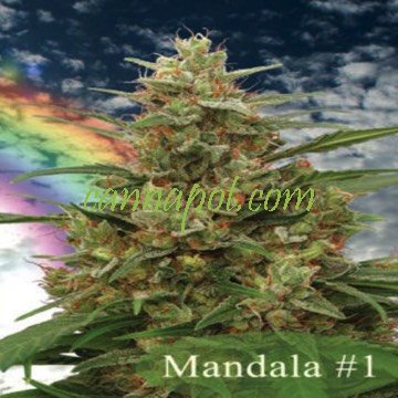 Mandala #1 - zum Schließen ins Bild klicken
