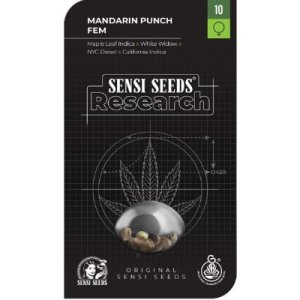 (image for) Mandarin Punch