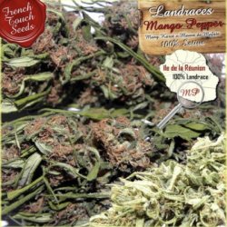 Ein allgemeines Bild