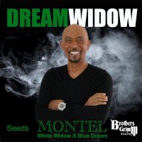 (Bild für) Montel’s Dream Widow