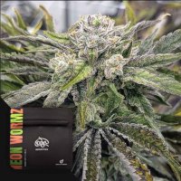 (Bild für) Neon Wormz