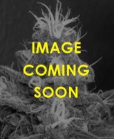 (Bild für) Nigerian Hashplant