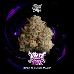 Ein allgemeines Bild