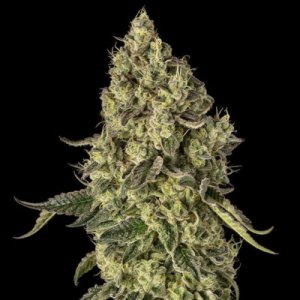 (Bild für) Peach Cake