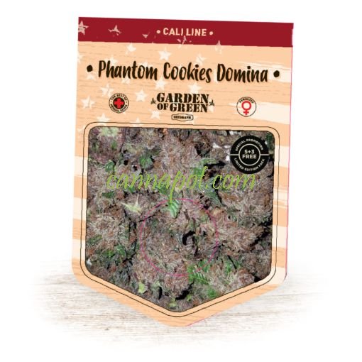 Phantom Cookies Domina fem - zum Schließen ins Bild klicken