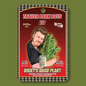 Rickys Hash Plant female