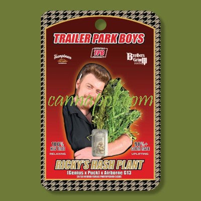 Rickys Hash Plant female - zum Schließen ins Bild klicken