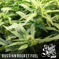 Russian Rocket Fuel Auto