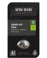 Sensi #11