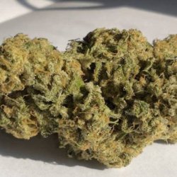 Ein allgemeines Bild