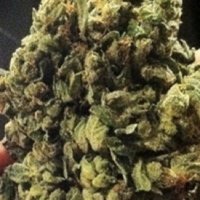 (imagen para) So G Kush