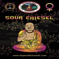 (image for) Sour Chiesel fem