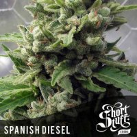 Auto Spanish Diesel