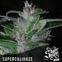 Super Cali Haze