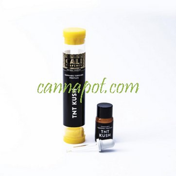 TNT Kush 1ml - CaliTerpene - zum Schließen ins Bild klicken