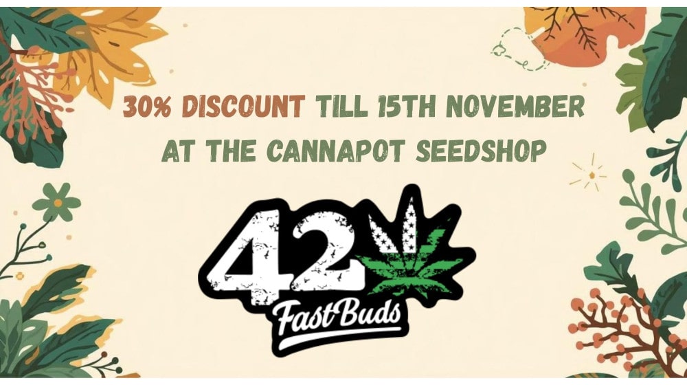 Index-Banner-Leaves_DE