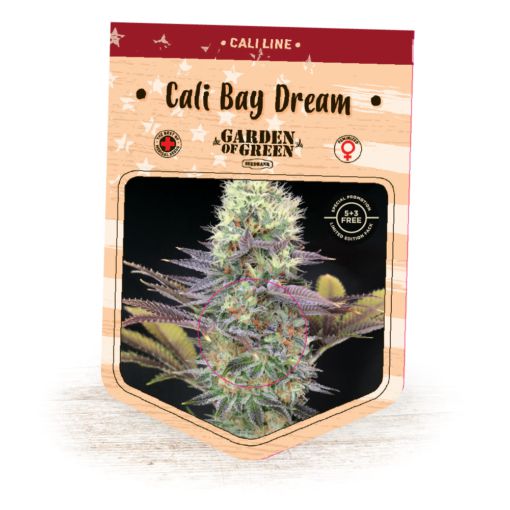 (Bild für) Cali Bay Dream fem - zum Schließen ins Bild klicken