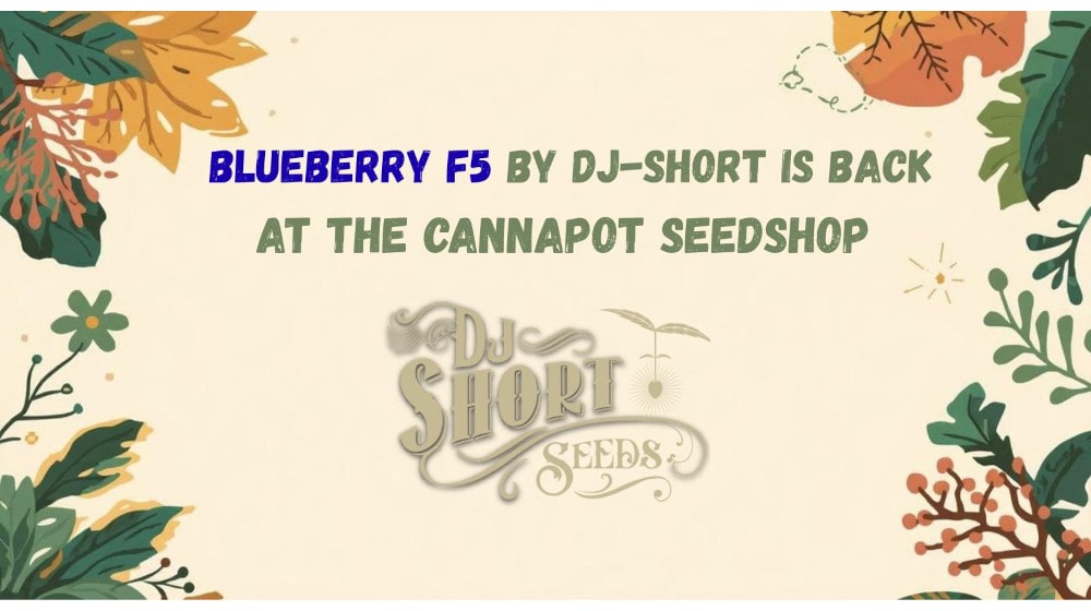 Index-Banner-Leaves_DE