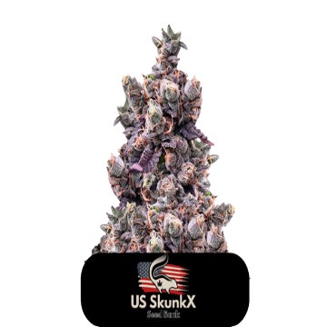 (Bild für) Gelato Cake - zum Schließen ins Bild klicken