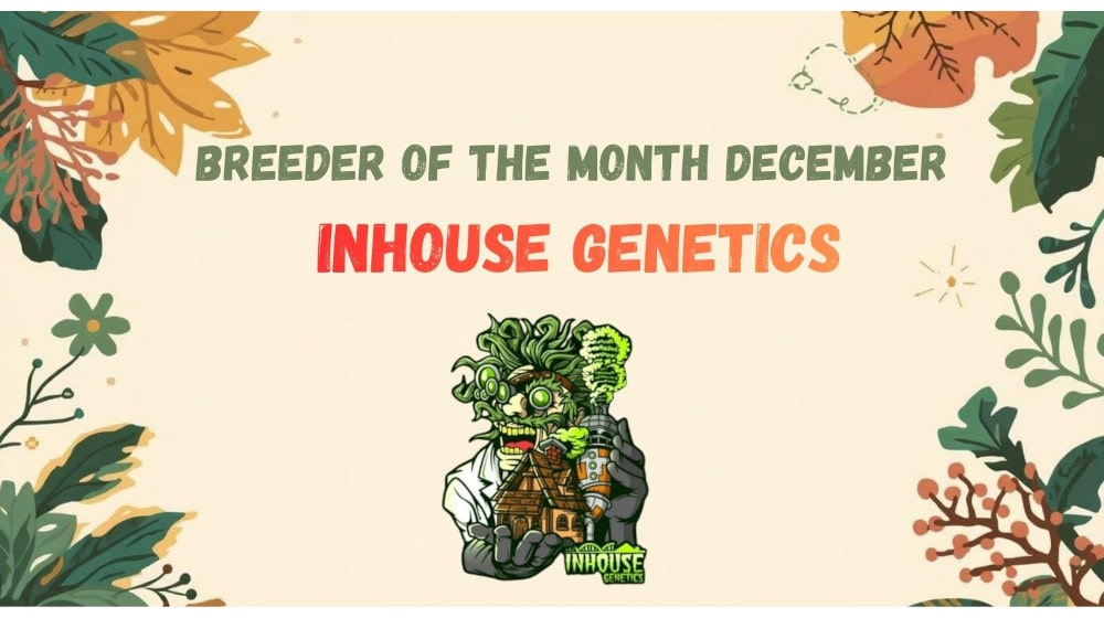 Index-Banner-Leaves_DE