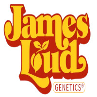 (image for) James Loud