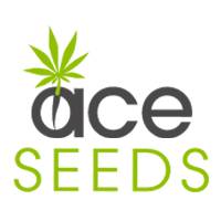 (image for) Ace Seeds