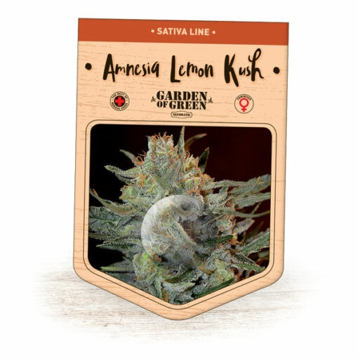 (Bild für) Amnesia Lemon Kush fem - zum Schließen ins Bild klicken