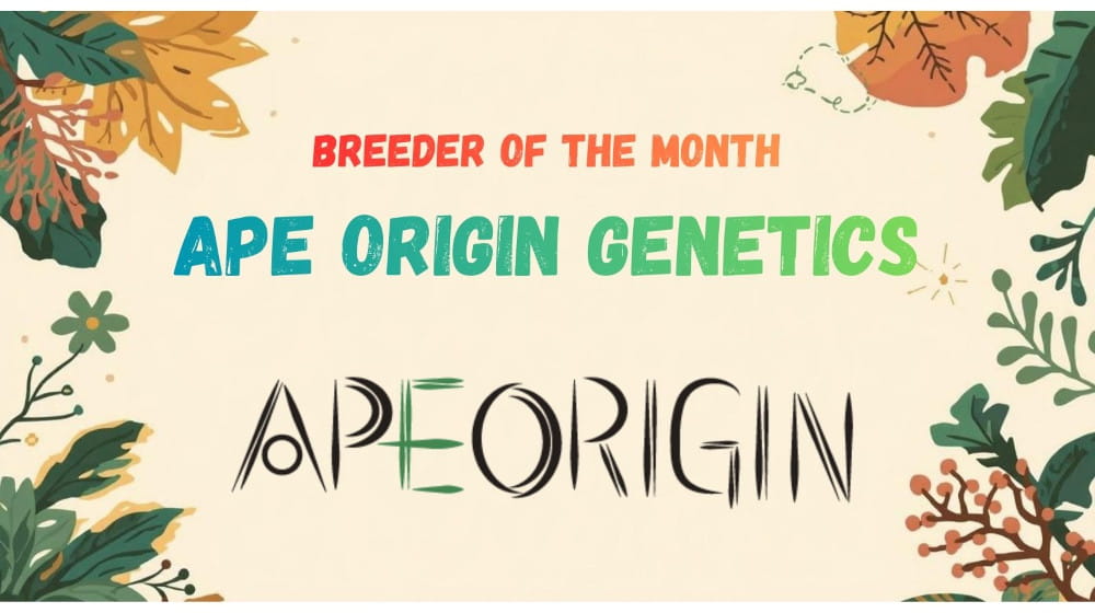 Index-Banner-Leaves_EN