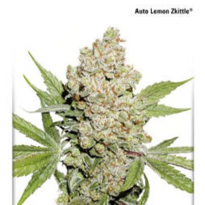 (Bild für) Auto Lemon Kix aka Auto Lemon Zkittle - zum Schließen ins Bild klicken