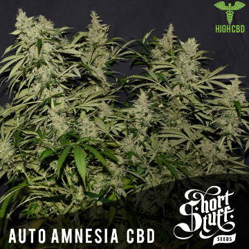 (Bild für) Auto Amnesia CBD - zum Schließen ins Bild klicken