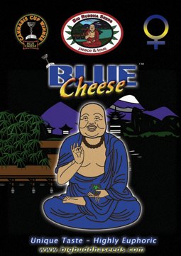 Big Buddha Blue Cheese fem