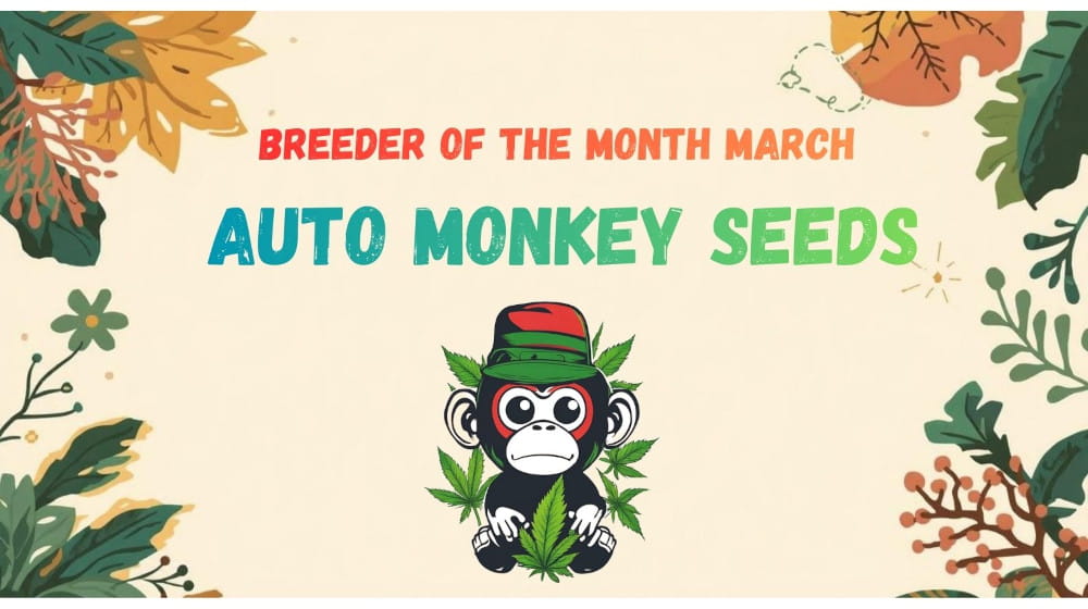 Index-Banner-Leaves_FR