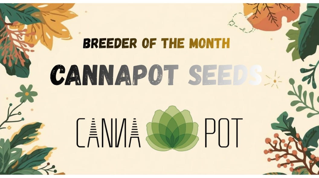 Index-Banner-Leaves_ES