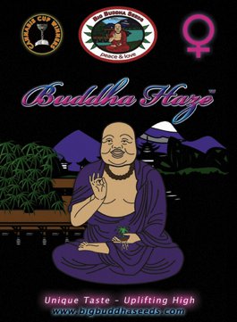 Buddha Haze fem