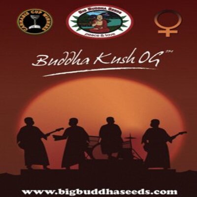 (Bild für) Buddha Kush OG fem - zum Schließen ins Bild klicken